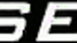 European Wolves have an afternoon of playtime