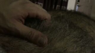 Fur Covered Wordy Dad Gargle, Shag & Cuddle Sesh.