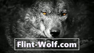 Beautiful No Condom Rubdown - Flint Bear