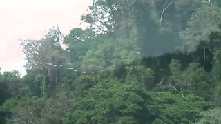 Paramours In Paradise - Diego & Paddy