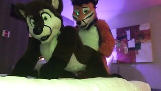 Murrsuit and furry friends get frisky in a hot furry threesome