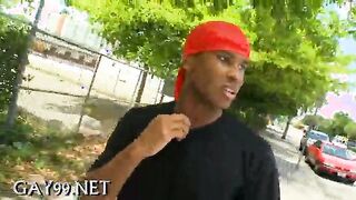 Multiracial homosexual in doggy style