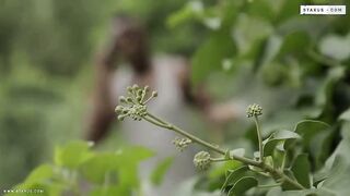 Breed them thick vignette-1