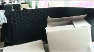 Glorious Mover Fellow Very First Homo Practice