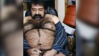Watch this hairy bear give a wild handjob to his daddy's big dong