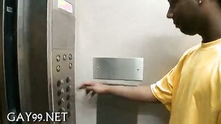 Kinky multiracial fag fucky-fucky